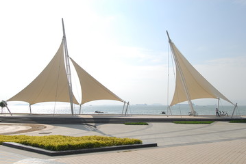 中国的国蝶是什么-