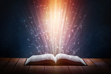 龙岗东珠学校学费多少