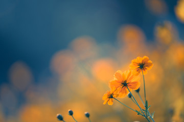 上个星期六天气很好用英语怎么说