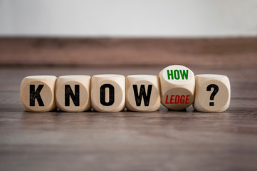 今天你能让我认识一种植物吗？