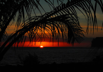 高一语文考试时阅读题答题步骤