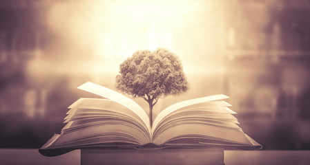 怎样制作生物标本