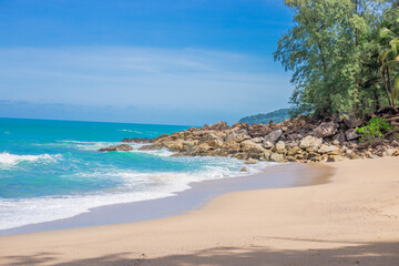 中国的国蝶是什么-