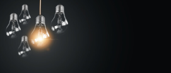 中国的国蝶是什么-