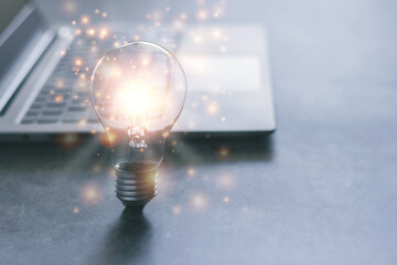 十大最好养的室内植物