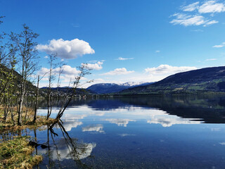 冷库可以做什么生意？