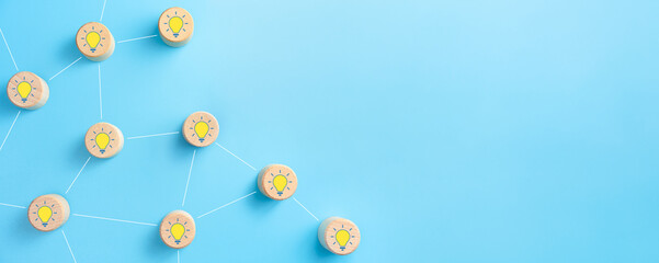 今天你能让我认识一种植物吗？