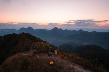 今天你能让我认识一种植物吗？