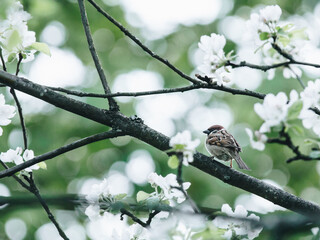 龙岗东珠学校学费多少