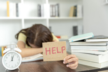 今天你能让我认识一种植物吗？