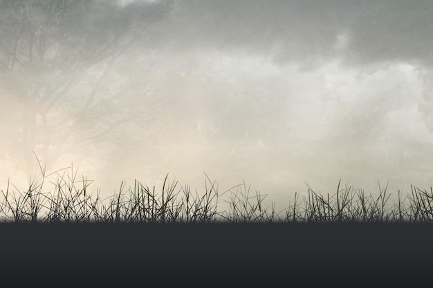 绵阳考试中心电话号码