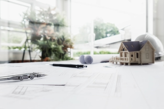 中国的国蝶是什么-