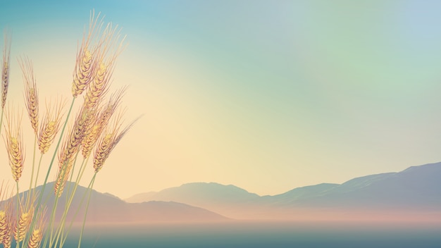 高一语文考试时阅读题答题步骤