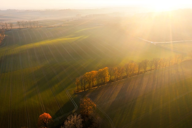 唐太宗对五石散情有独钟：求长生不老壮阳固本