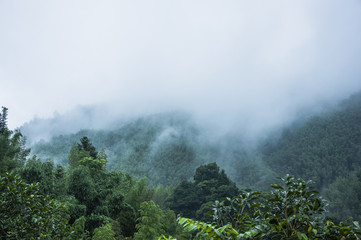 反省自己错误的文言文